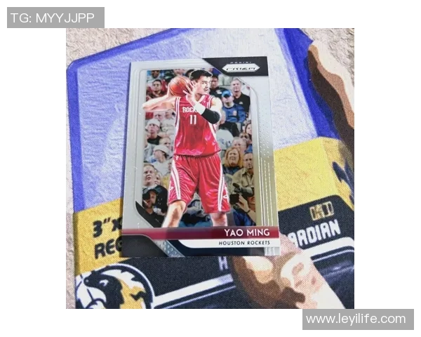 穿越回到姚明的时代与传奇队友们共同征战NBA的热血旅程