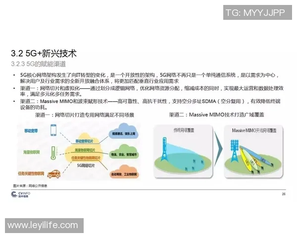 姚明珠在交通领域的创新探索与未来发展趋势分析